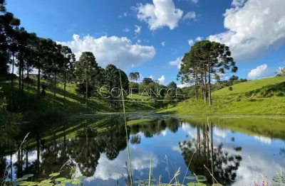 Fazenda à venda na campo alto, 5, campo alto, tijucas do sul, 3000 m2 por r$ 19.999.900