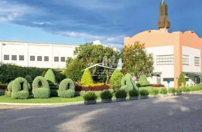 Barracão / galpão / depósito para alugar na avenida rocha pombo, 2561, águas belas, são josé dos pinhais, 3230 m2