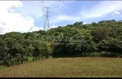 Terreno comercial à venda na rua joão jacob manfron neto, centro, campo magro, 60599 m2 por r$ 260.000