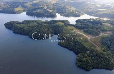 Terreno à venda na rua apolônia krul kaminsk, 100, jardim florestal, campo largo, 20000 m2 por r$ 1.650.000