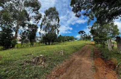 Chácara à venda, 63000 m² por r$ 950.000,00 - imbuial - campina grande do sul/pr