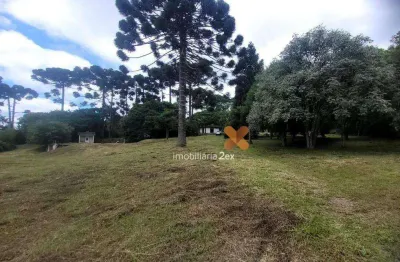 Chácara à venda, 142846 m² por r$ 6.000.000,00 - guarituba - piraquara/pr