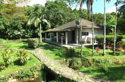 Chácara com 4 dormitórios à venda, 6000 m² por r$ 1.800.000,00 - área rural - morretes/pr