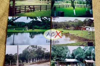 Chácara com 4 dormitórios à venda, 5300 m² por r$ 1.150.000,00 - dom rodrigo - são josé dos pinhais/pr