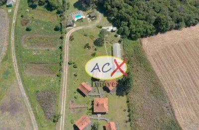 Chácara com 6 dormitórios à venda, 48000 m² por r$ 3.000.000,00 - balsa nova - balsa nova/pr