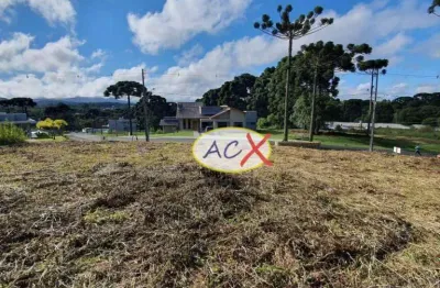 Terreno à venda, 1001 m² por r$ 770.000,00 - vila fuck - piraquara/pr