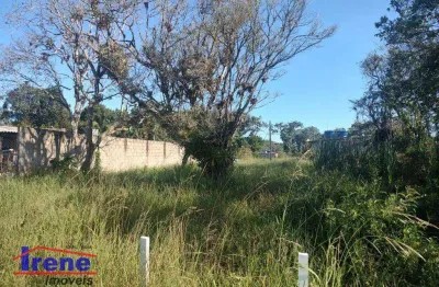 Terreno à venda, 250 m² por r$ 65.000,00 - bopiranga - itanhaém/sp