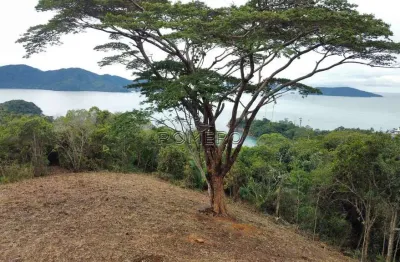 Terreno em condomínio fechado à venda na Estrada Da Caçandoca, s/num, Praia do Pulso, Ubatuba