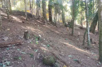 Terreno, sertão da quina, ubatuba - r$ 250 mil, cod: 2557