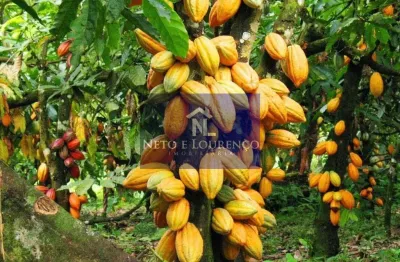 Fazenda à venda em uruçuca, centro: 10 quartos, 10 banheiros