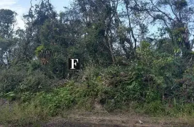 Terreno à venda na Praia Grande, Matinhos 