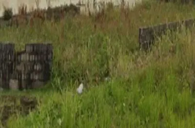 Terreno à venda no Balneário Tupy, Itanhaém 