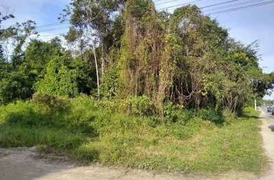 Terreno à venda no Jardim Coronel, Itanhaém 