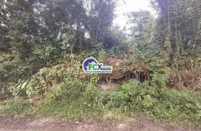 Terreno à venda no Jardim Coronel, Itanhaém 