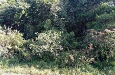 Terreno à venda no São Fernando, Itanhaém 