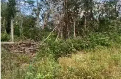 Terreno à venda no Jardim Coronel, Itanhaém 