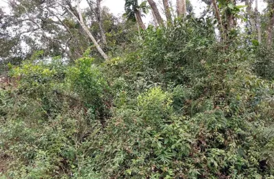 Terreno à venda no Jardim Coronel, Itanhaém 