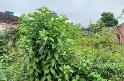 Terreno à venda no Balneário Iemanjá, Itanhaém 