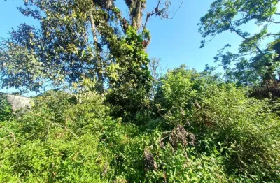 Terreno à venda no Jardim Coronel, Itanhaém 