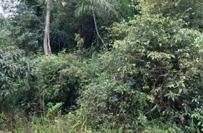 Terreno à venda na Zona Rural, Iguape 