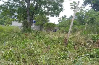 Terreno à venda no Jardim Coronel, Itanhaém 