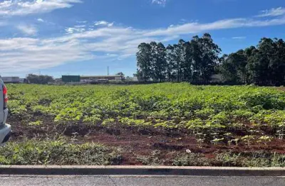 Terreno à venda, 360 m² por r$ 255.312,00 - guarujá - cascavel/pr