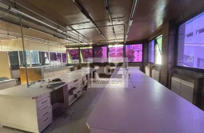 Conjunto para alugar, 190 m² por r$ 6.000,00/mês - gonzaga - santos/sp