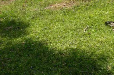 Chácara à venda, 4630 m² por r$ 179.000,00 - zona rural - quitandinha/pr