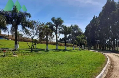 Fazenda com 7 dormitórios à venda, 6848600 m² por r$ 20.900.000,00 - campo largo da roseira - são josé dos pinhais/pr