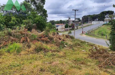 Terreno à venda, 2293 m² por r$ 2.350.000,00 - vila feliz - almirante tamandaré/pr