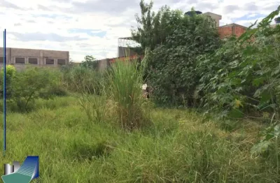 Terreno comercial/residencial à venda rua barretos ribeirão preto