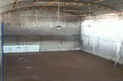 Galpões para empresa - vila carvalho em ribeirão preto para locação