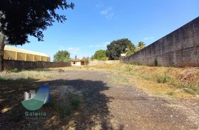 Terreno comercial para alugar na Avenida Professor Mário Autuori, 925, City Ribeirão, Ribeirão Preto