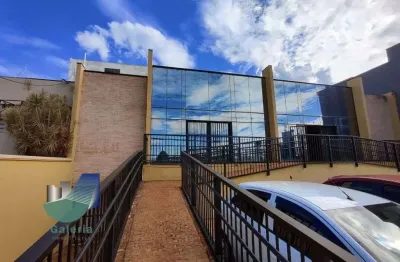 Salão comercial para alugar, 800m² - nova ribeirânia