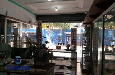 Ponto comercial para alugar na Rua Lafaiete, 707, Centro, Ribeirão Preto