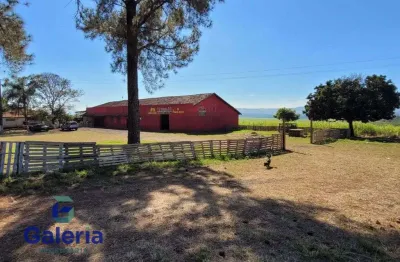 Chácara / sítio com 2 quartos para alugar na Rod. Anhanguera, 362, Zona Rural, São Simão