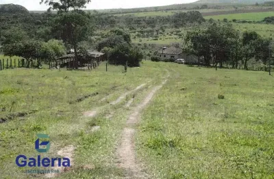 Sítio bela vista à venda, 36.300 m² - santa rosa de viterbo - sp