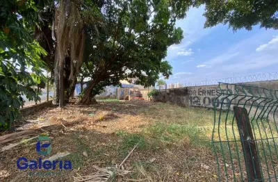 Terreno comercial para alugar na Rua Doutor Laudo de Camargo, 398, Jardim São Luiz, Ribeirão Preto