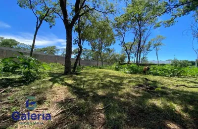 Terreno comercial para alugar na Rua Benjamin Cione, 96, Recreio Anhangüera, Ribeirão Preto