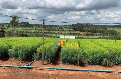 Sítio à venda, 121000 m² por r$ 1.800.000,00 - campo novo - bragança paulista/sp