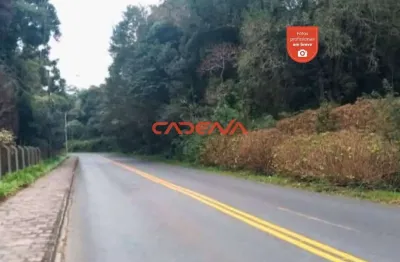 Chácara / sítio à venda na Rua Mato Grosso, 2650, Ferraria, Campo Largo