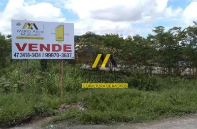 Terreno à venda, 2774 m² por r$ 539.000,00 - rocio grande - são francisco do sul/sc