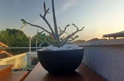 Casa com 3 quartos à venda na Rua Professora Alice Picanço, Itaipu, Niterói