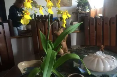 Apartamento com 2 quartos à venda na Rua Ana Benvinda de Andrade, --, Santana, São Paulo