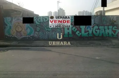 Terreno à venda, 380 m²- chora menino - são paulo/sp