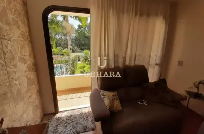 Apartamento com 4 dormitórios à venda - vila nova cachoeirinha - são paulo/sp