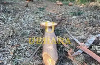 Terreno em condomínio fechado à venda na Liestal, --, Centro, Mairiporã