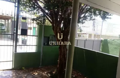 Casa com 6 quartos à venda na Rua Domingos Condoleu, --, Vila Francos, São Paulo