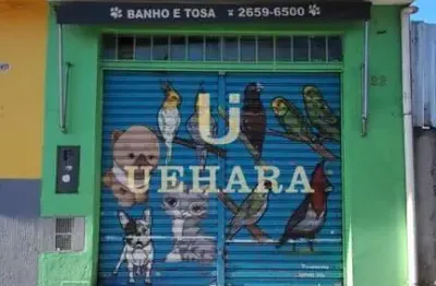Salão de 70 m² em ótimo estado próximo das avenidas casa verde e engenheiro caetanos álvares.