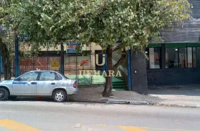 Barracão / Galpão / Depósito para alugar na João Dos Santos Abreu, --, Vila Nova Cachoeirinha, São Paulo